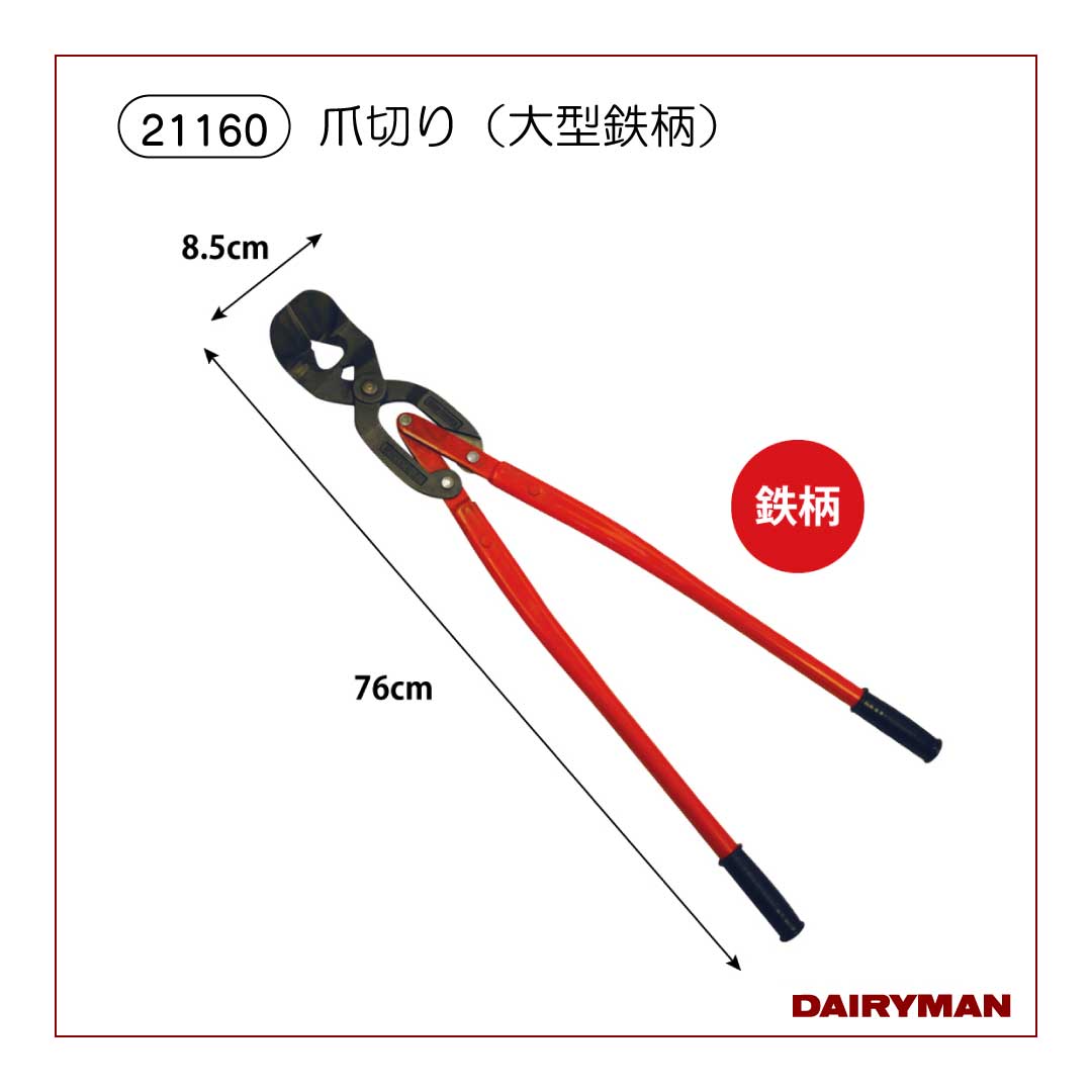装蹄工具 削蹄工具 まとめて DIAMOND フーフニッパー 削蹄センカン 削蹄鎌 削蹄鉈 カッサク ヤスリ 装蹄用 馬蹄用 畜産用(HD668swxY) 楽天市場】削蹄剪鉗 ダイヤモンド FN-15 386mm 840015 爪切りニッパー